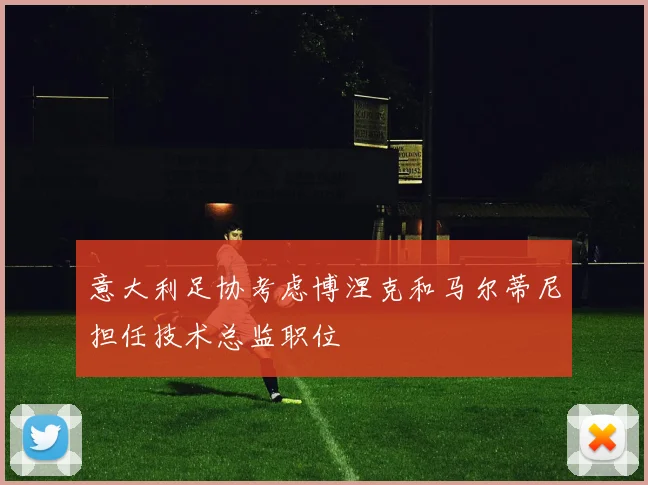 意大利足协考虑博涅克和马尔蒂尼担任技术总监职位