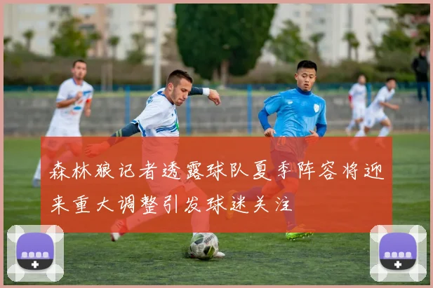 森林狼记者透露球队夏季阵容将迎来重大调整引发球迷关注